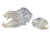 Skull Models iM3