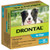 Drontal Allwormer Tablets for Medium Dogs 100s