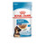 Maxi Puppy Wet Food 10 x 140g