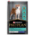PRO PLAN Adult Sensitive Digestion Lamb  - 12kg
