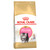Persian Breed Kitten Dry Cat Food  - 2kg