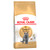 British Shorthair Breed Adult Dry Cat Food  - 2kg