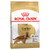Cocker Spaniel Breed Adult Dry Dog Food  - 3kg