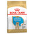 Labrador Retriever Breed Puppy Dry Dog Food  - 12kg