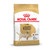 Labrador Retriever Breed Adult Dry Dog Food  - 12kg