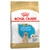 Labrador Retriever Breed Puppy Dry Dog Food  - 3kg