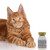 Purified Tick Antiserum for Cats - 5ml