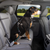 Kurgo Direct to Seatbelt Swivel Tether, Coastal Blue