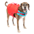 Kurgo Surf n Turf Life Jacket, Chili Red, L