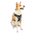 Kurgo Journey Air Harness - Black/ Grey XL