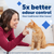 PetSafe® ScoopFree® Crystal Disposable Litter Tray, Fresh Scent, 3-Pack
