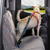 Kurgo Direct to Seat Belt Tether, Blue