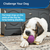 PetSafe® Busy Buddy® Bouncy Bone, Medium