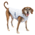 Kurgo Core Cooling Vest, XL