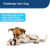 PetSafe® Busy Buddy® Bristle Bone, Medium