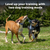 PetSafe® Core Trainer Add-A-Dog Collar