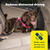 PetSafe® Safety Seatbelt Tether, Black