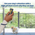 PetSafe® Collarless Trainer