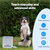 PetSafe® Teach & Treat Remote Reward Trainer