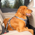 Kurgo Direct to Latch Swivel Tether