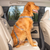 Kurgo Direct to Latch Swivel Tether