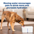 PetSafe® Viva™ Pet Fountain, 4.1 litre, Plastic Tray
