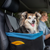Kurgo Rover Booster Seat