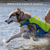 Kurgo Surf n' Turf Life Jacket, Yellow/Blue, M