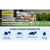 PetSafe® Stay & Play™ Compact Wireless Fence
