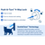 PetSafe® Big Cat Small Dog Door