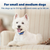 PetSafe® Deluxe Little Dog Spray Bark Control