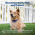 PetSafe® Deluxe Little Dog Spray Bark Control
