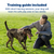 PetSafe® Stubborn Dog Stay & Play® Wireless Fence Receiver Collar
