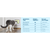 PetSafe® Microchip Cat Door, White