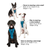 Kurgo Tru-Fit Smart Harness, Enhanced Strength, Ink Blue, M