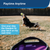 PetSafe® Automatic Ball Launcher