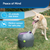 PetSafe® Automatic Ball Launcher