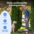 PetSafe® Basic Dog Trainer with Remote