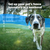 PetSafe® Stubborn Dog In-Ground Fence