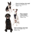 Kurgo Tru-Fit Smart Harness, Enhanced Strength, Black, XL