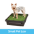 PetSafe® Pet Loo® Portable Pet Toilet, Small