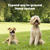 PetSafe® Fence Wire and Flag Kit