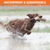 SportDOG® NoBark™ SBC-R-E Rechargeable Bark Control Collar