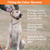 SportDOG SportTrainer® 825X Remote Trainer