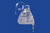 2000ml Closed Urine Collection Kit - Includes 2000ml Bag, Collection Line And Barbed Adapter With Female Luer