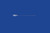 Echogenic Needle For Ultrasound - 21Ga X 10cm (4in) - Nerve Block Needle