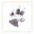 Sarah Brown Sympathy Card - Dog Paw - PACK OF 10