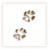 Sarah Brown Sympathy Card - Cat Paws - PACK OF 10