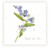 Sarah Brown Sympathy Card - Forget Me Nots - PACK OF 10