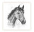 Sarah Brown Sympathy Card - Horses Head - PACK OF 10